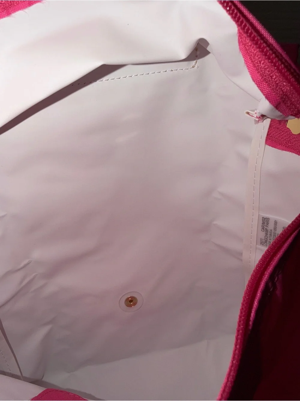 Longchamp Le Pliage Sac A Dos Backpack